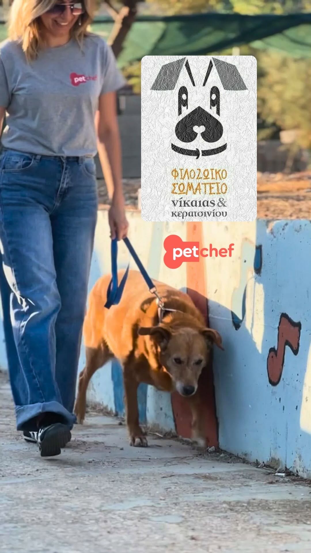 Post 10 by petchef | fresh food for pets on Instagram (video)