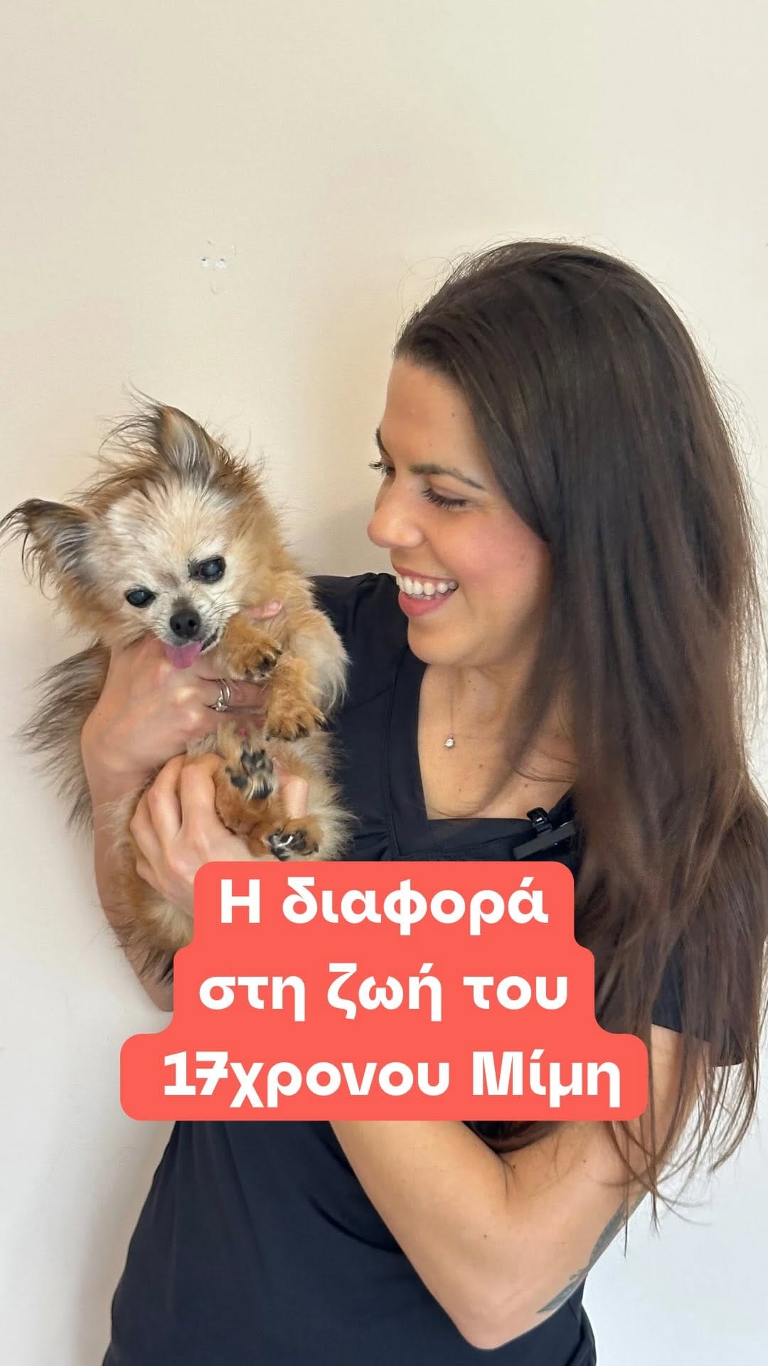 Post 8 by petchef | fresh food for pets on Instagram (video)