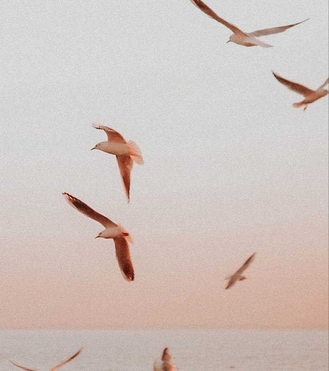 Post 8 by Verónica on Instagram (carousel)