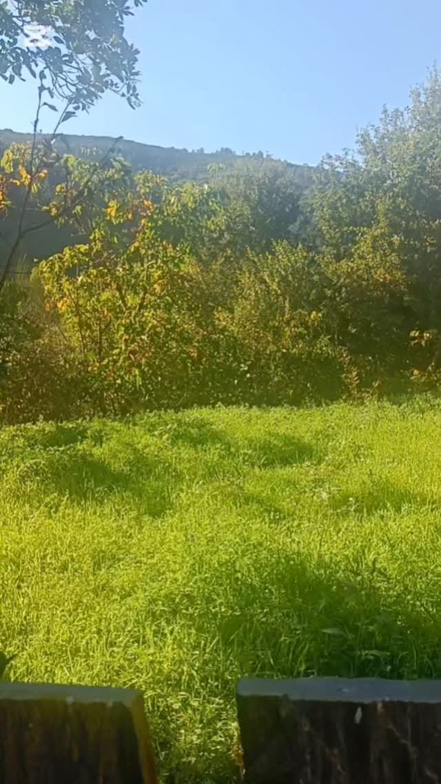 Post 3 by Mery Delgado Entren. Personal on Instagram (video)