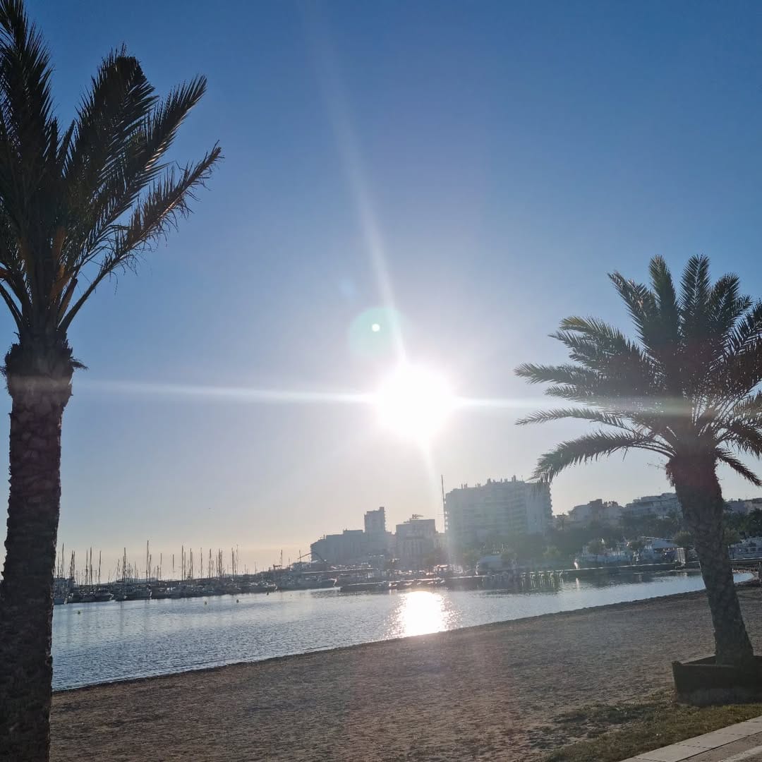 Post 10 by Terry on Instagram (image)