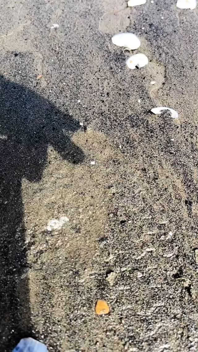 Post 1 by Pablo Sca on Instagram (video)