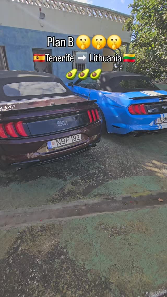 Post 4 by Raimundas Skaisgiris on Instagram (video)