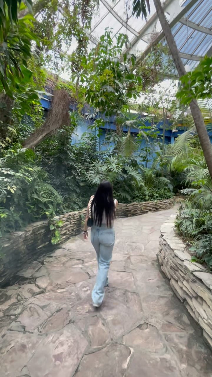 Post 6 by ALICE DYER on Instagram (video)
