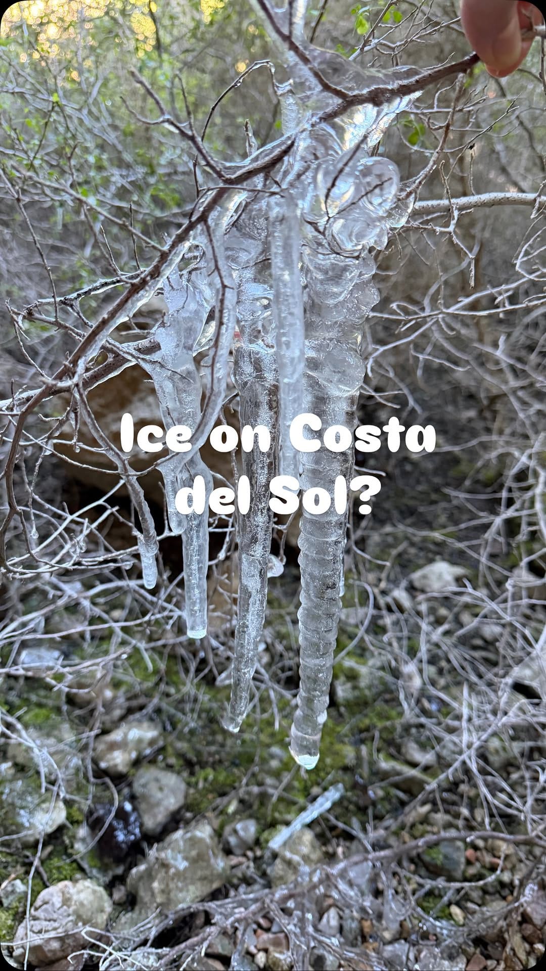 Post 3 by Alexia Ursache | Hiking & outdoors | Photography on Instagram (video)
