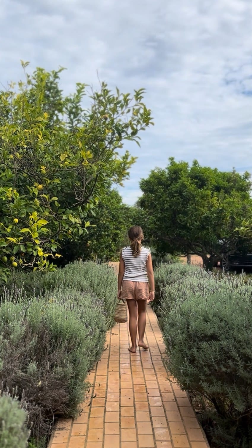 Post 9 by Sa Caseta Mallorca on Instagram (video)