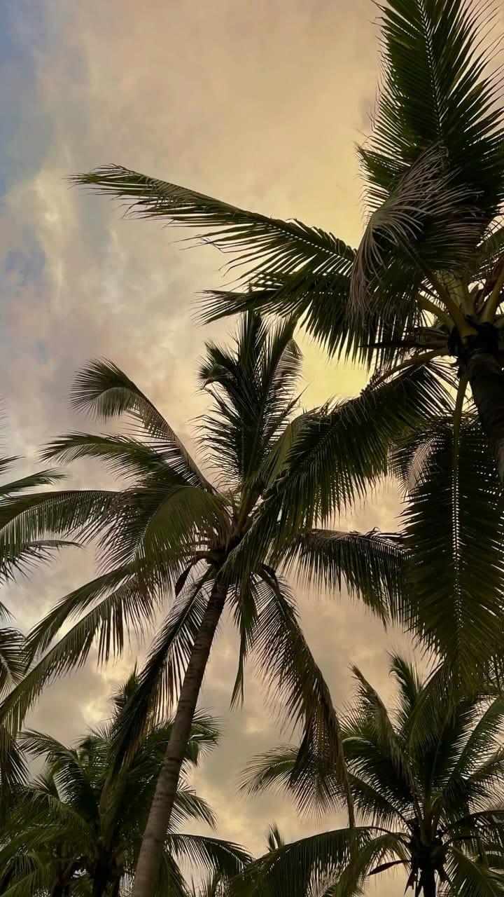 Post 9 by 🅔🅓🅤🅐🅡🅓🅞 🅒🅞🅡🅞🅝🅐🅓🅞 on Instagram (video)