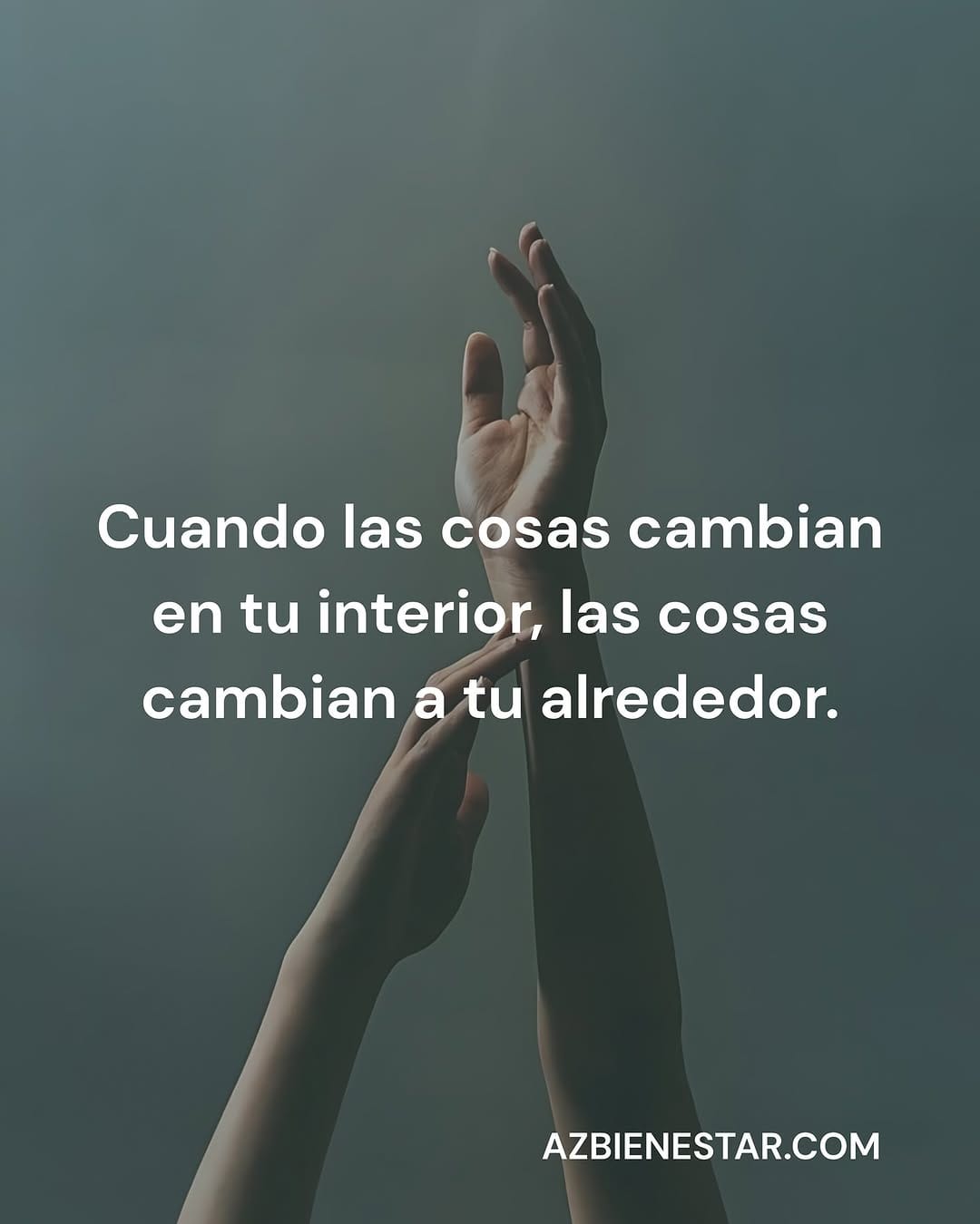 Post 7 by añozero on Instagram (image)