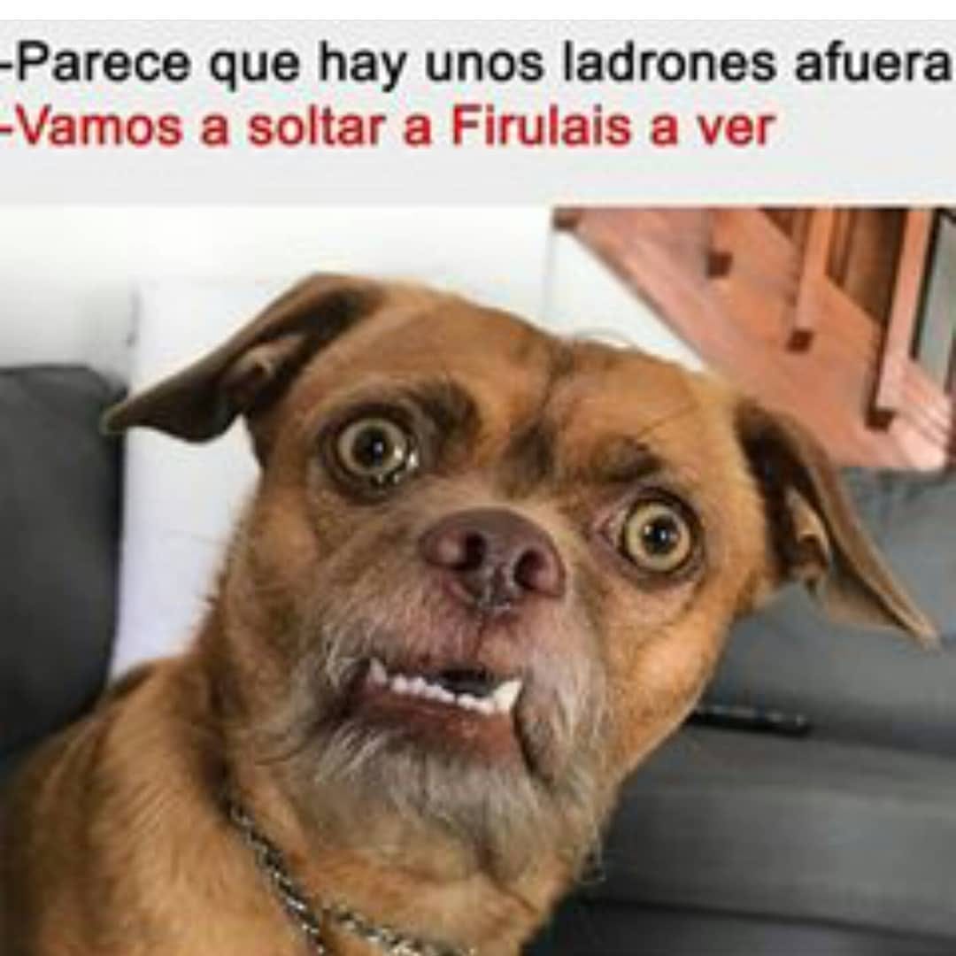 Post 5 by Quick Slim Cápsulas Mágicas on Instagram (image)