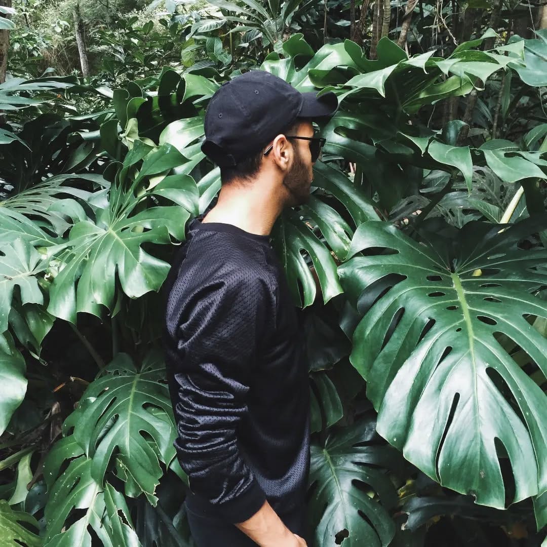 Post 10 by L Y R A T A  Casa de Plantas on Instagram (image)