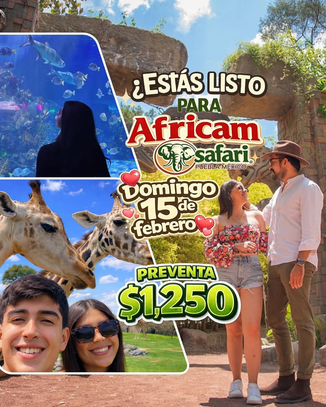 Post 7 by Sigue La Ruta on Instagram (image)