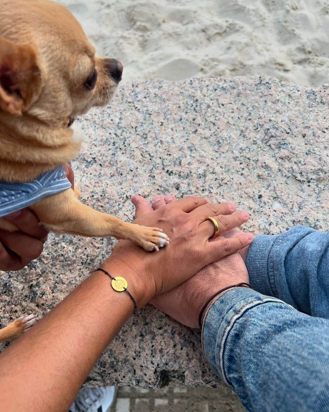 Post 2 by keko love chihuahua on Instagram (image)