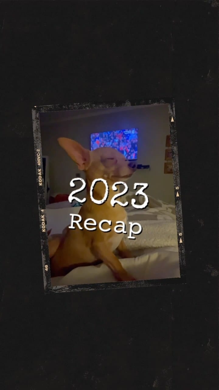 Post 5 by Gastón Enrique 🐾🐶🐭🐣😈 on Instagram (video)