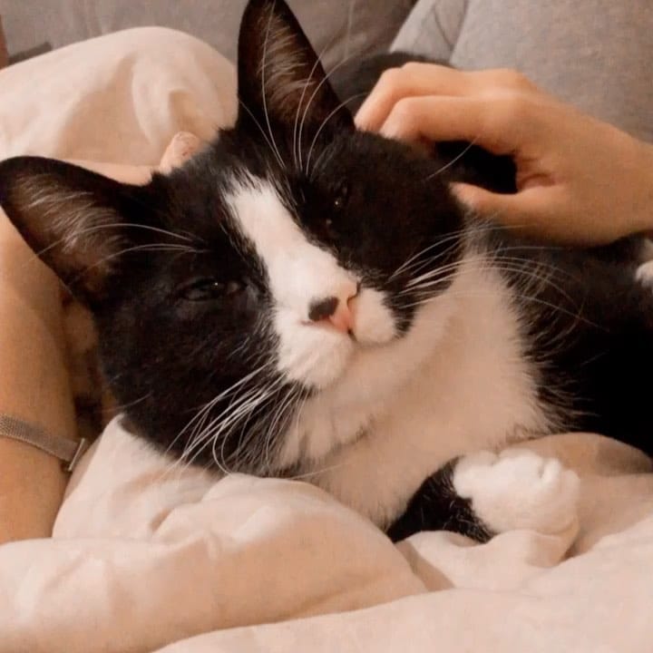 Post 7 by Marcelo Leonardo on Instagram (video)