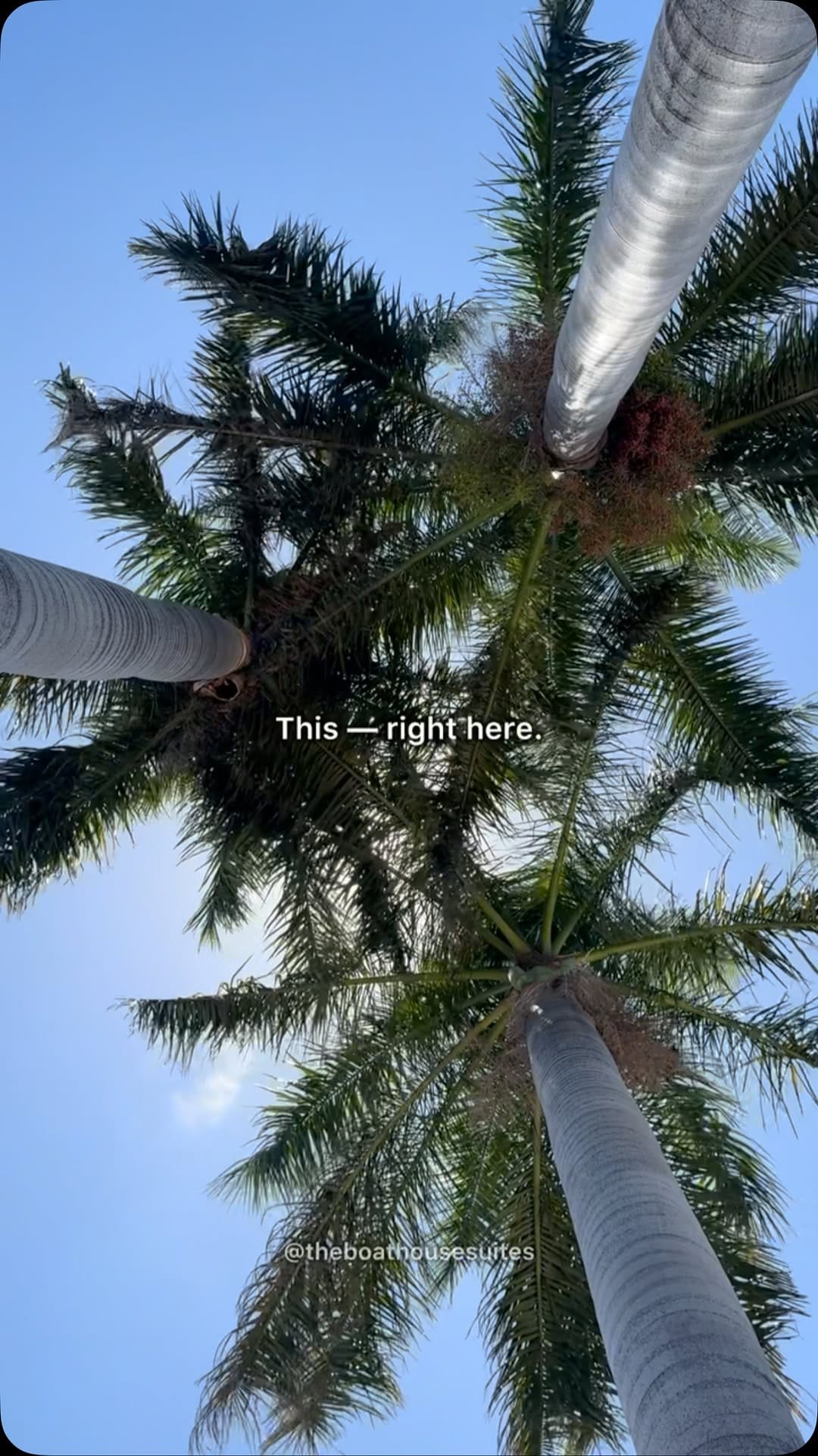 Post 1 by Jorie | Life in México on Instagram (video)