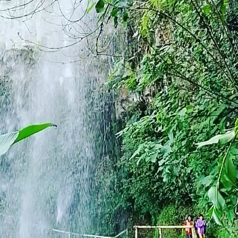 Post 8 by Colula Clara on Instagram (video)