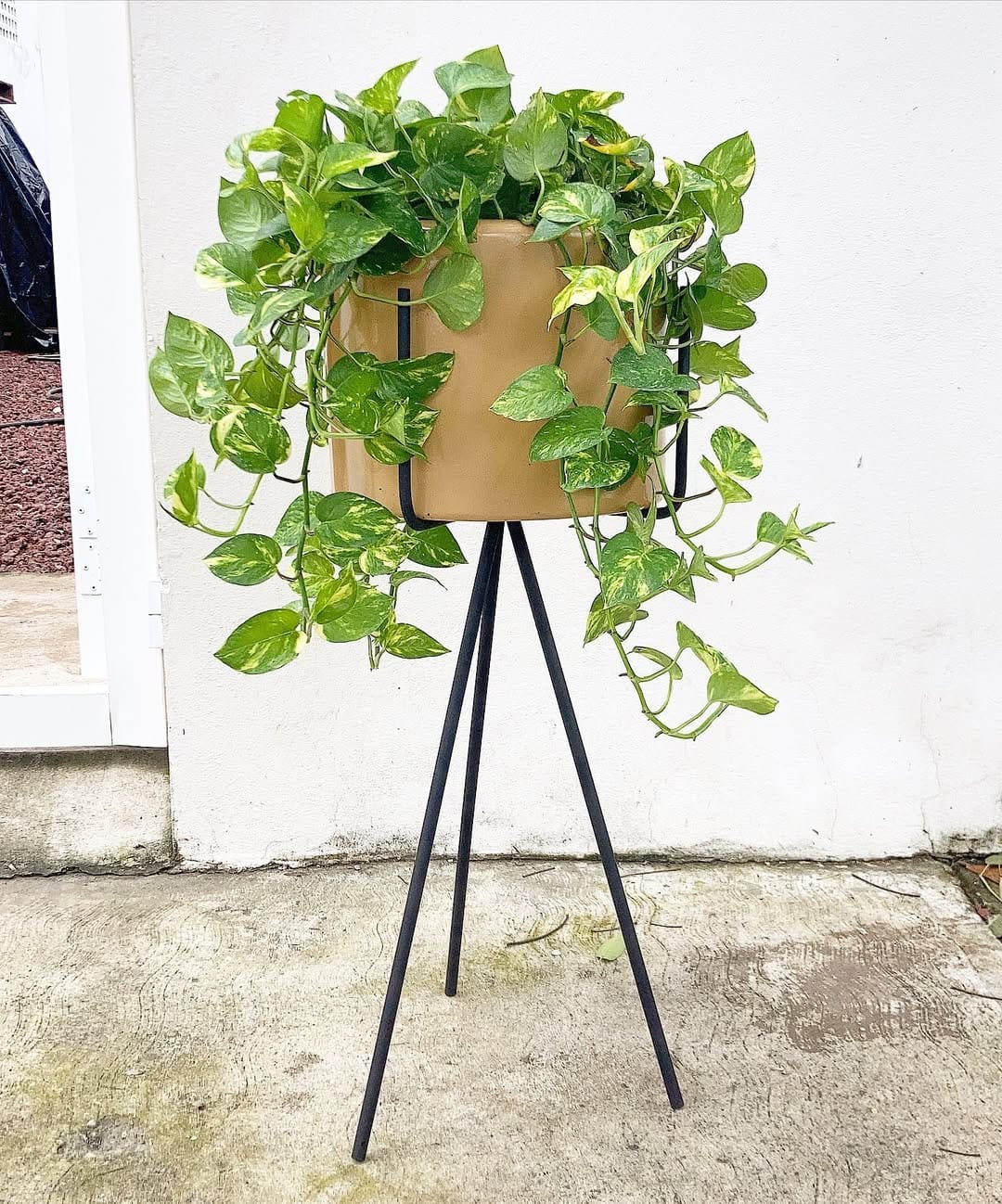 Post 4 by El Planterio•BoutiquedeMacetas on Instagram (image)