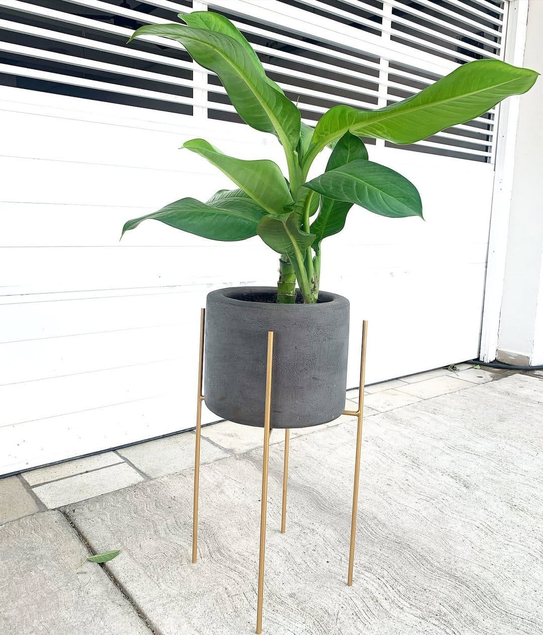 Post 3 by El Planterio•BoutiquedeMacetas on Instagram (image)