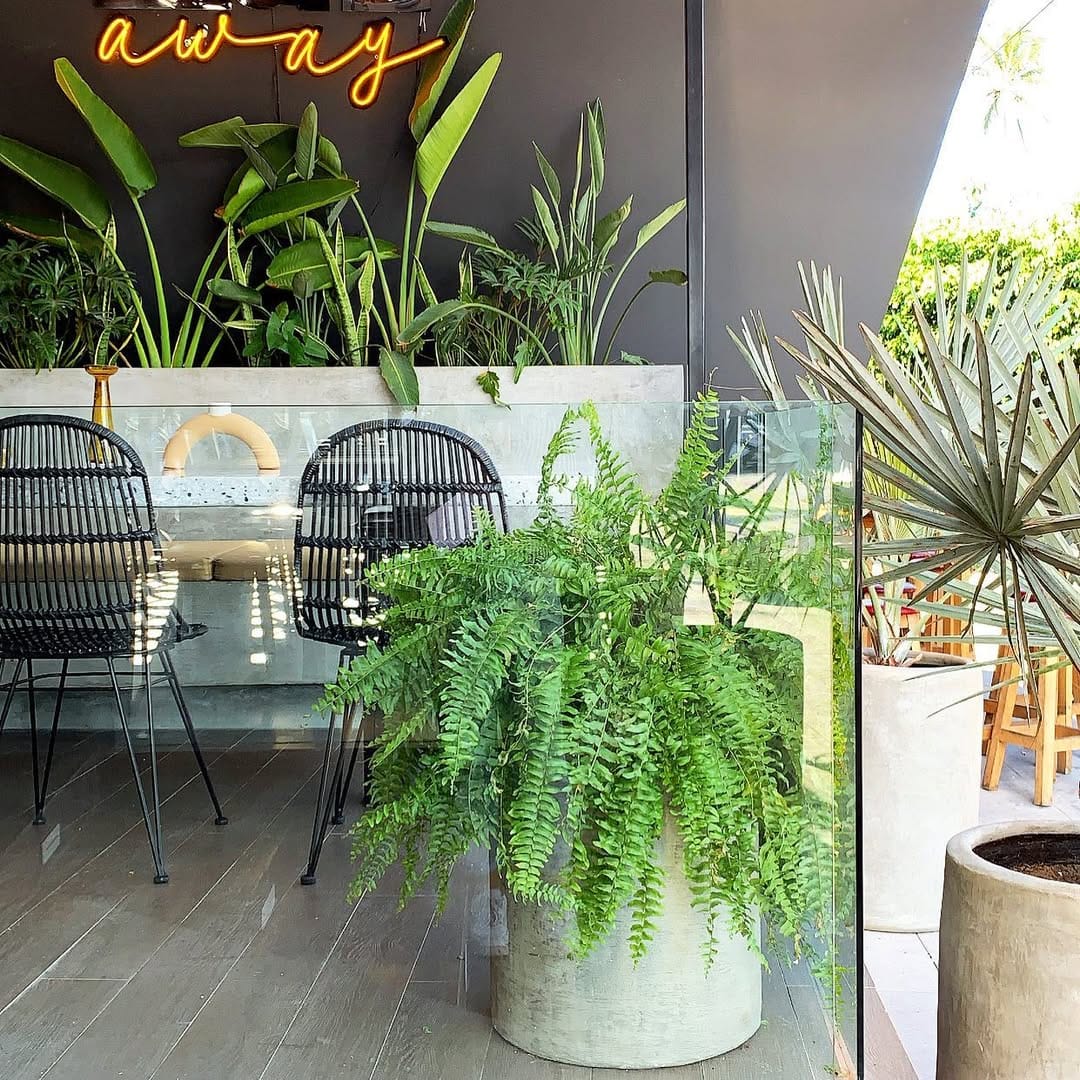 Post 6 by El Planterio•BoutiquedeMacetas on Instagram (image)
