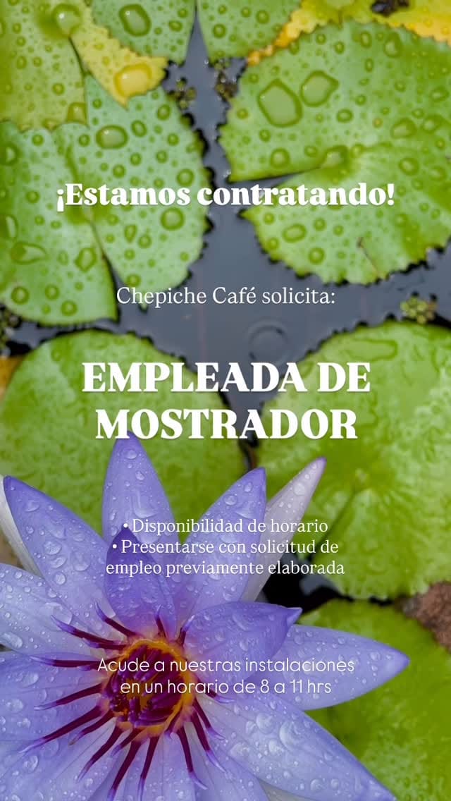 Post 5 by Chepiche Café on Instagram (video)