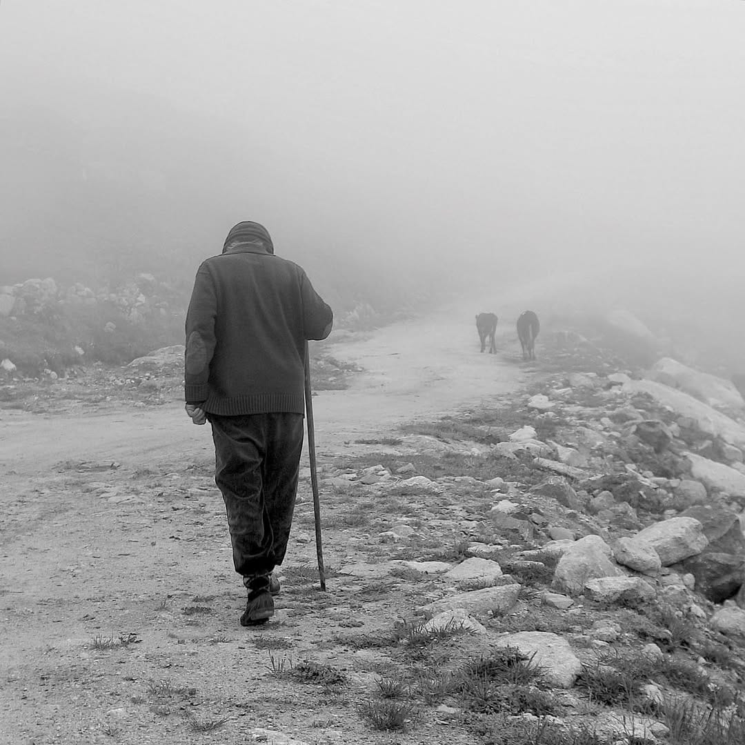 Post 7 by Alper Torun on Instagram (image)