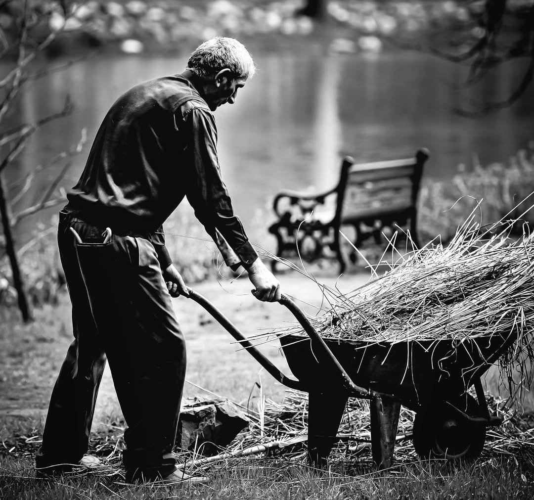 Post 6 by Alper Torun on Instagram (image)