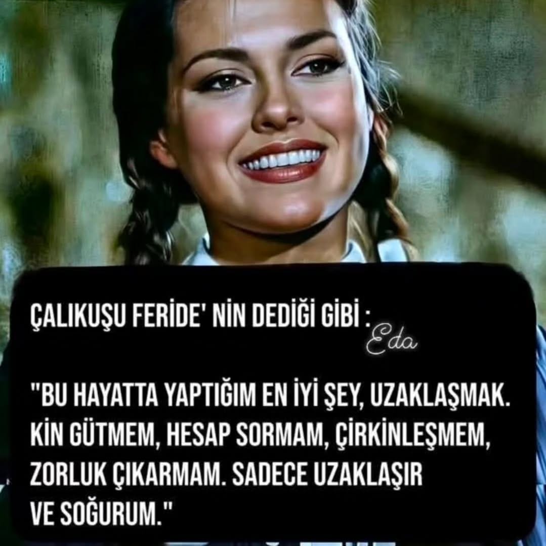 Post 2 by Özgür Dolar on Instagram (image)