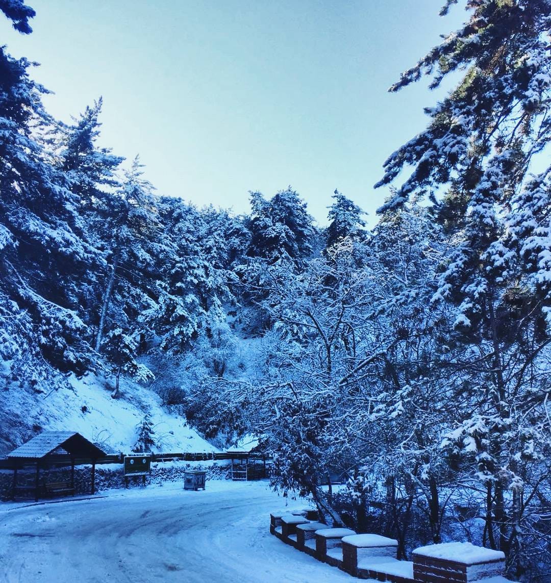 Post 8 by Melek Özen on Instagram (image)