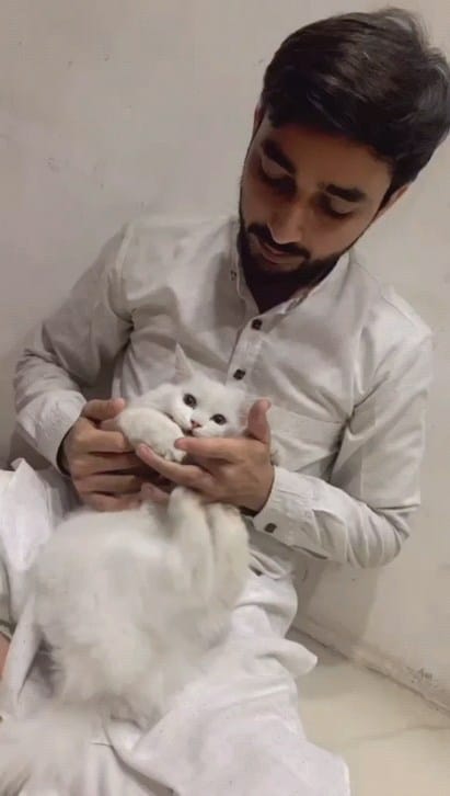 Post 5 by ✨ایاز✨ on Instagram (video)
