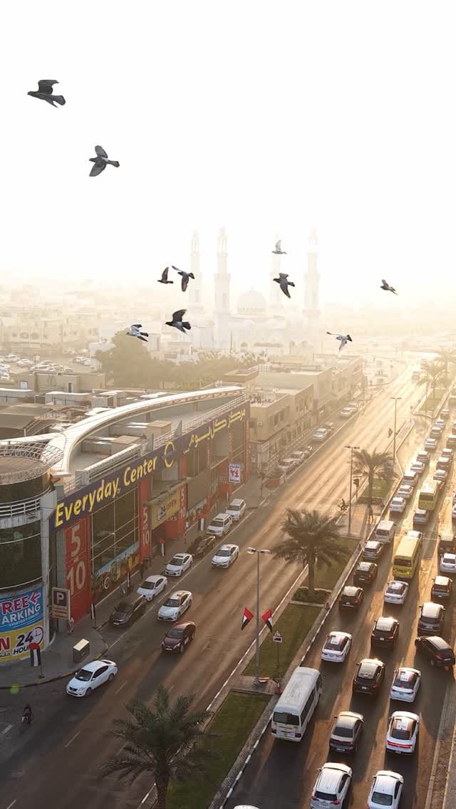 Post 1 by Everyday Center on Instagram (video)