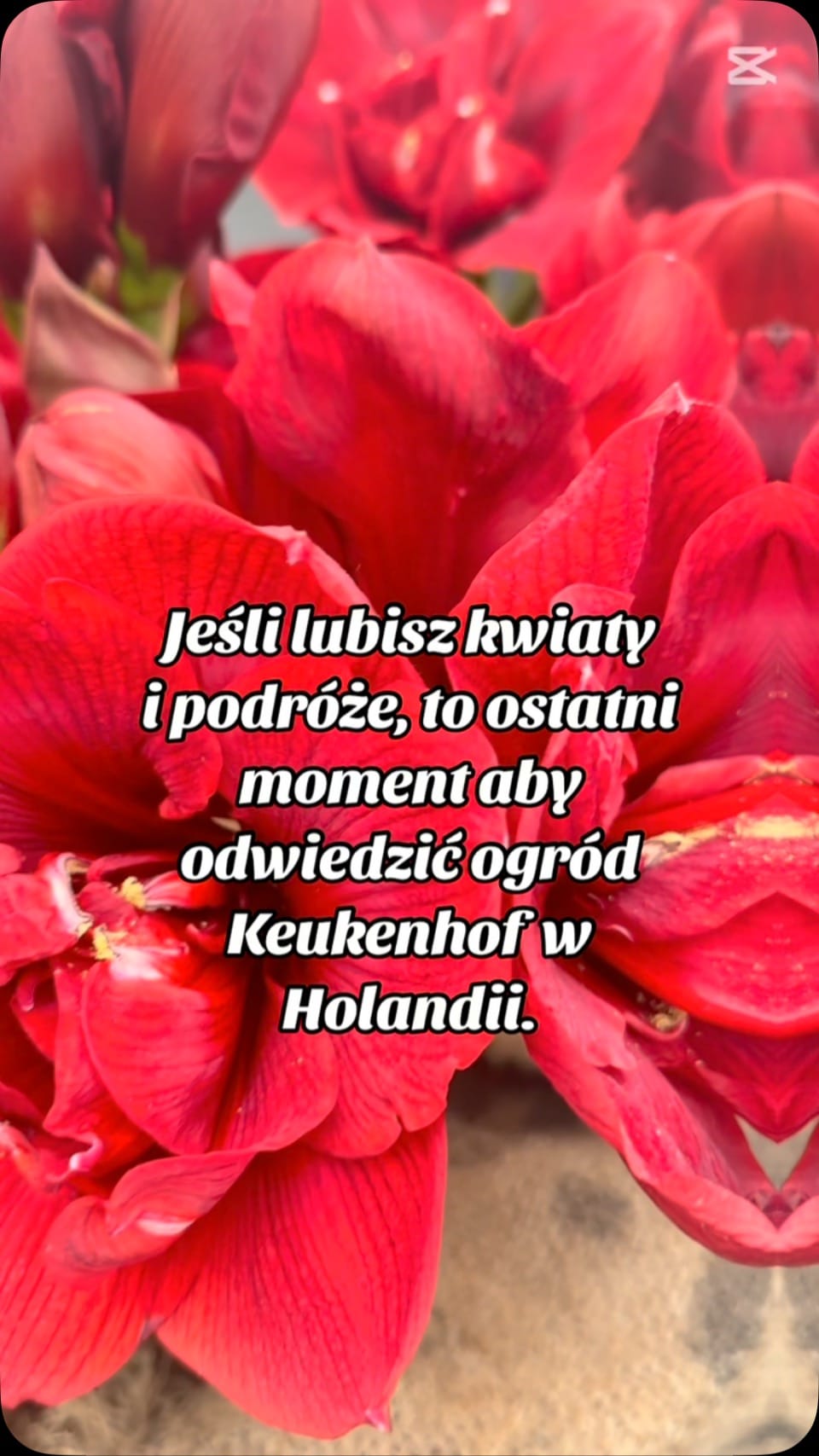 Post 8 by Ekspertka luksusowych podróży ✨✈️ on Instagram (video)