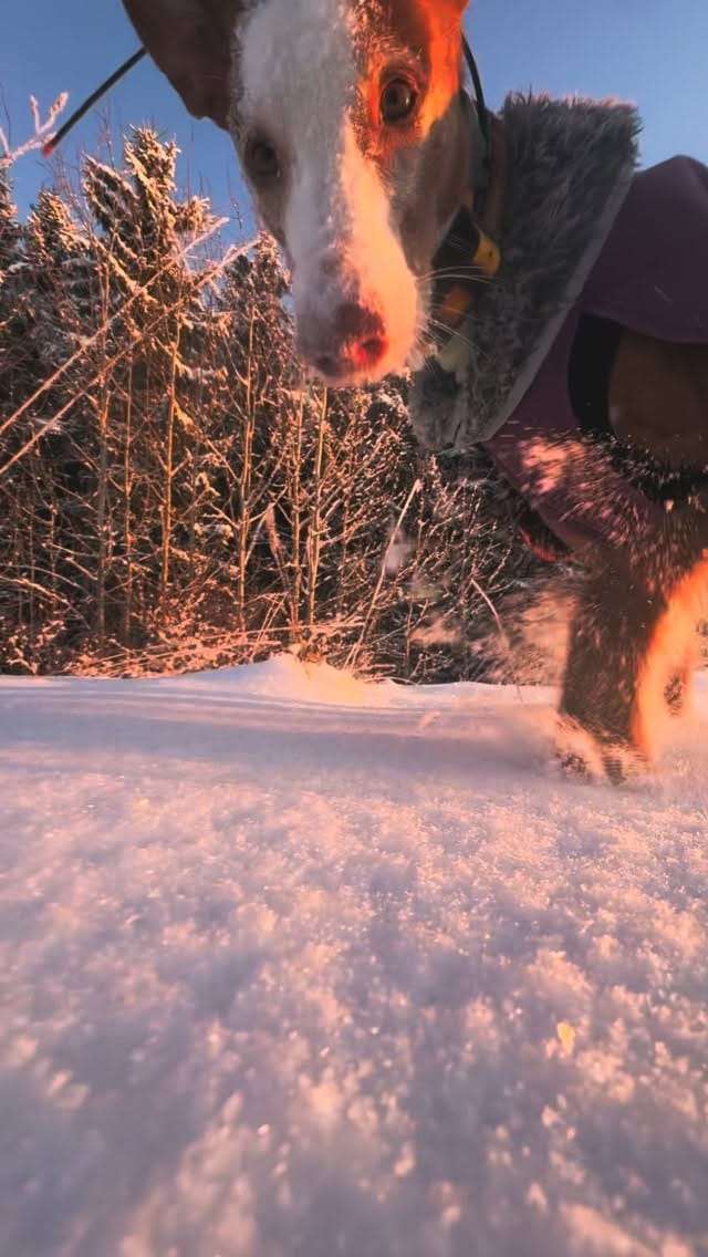 Post 2 by Kristiina and Ibizans on Instagram (video)