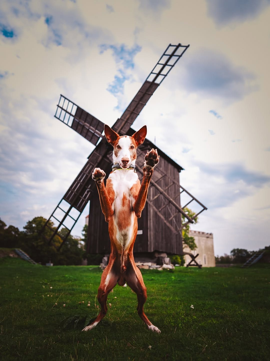 Post 8 by Kristiina and Ibizans on Instagram (carousel)