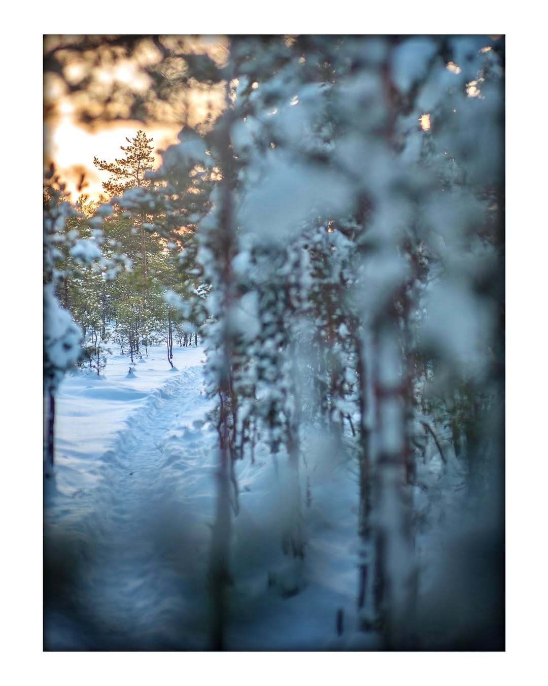Post 1 by Geit Eero on Instagram (image)
