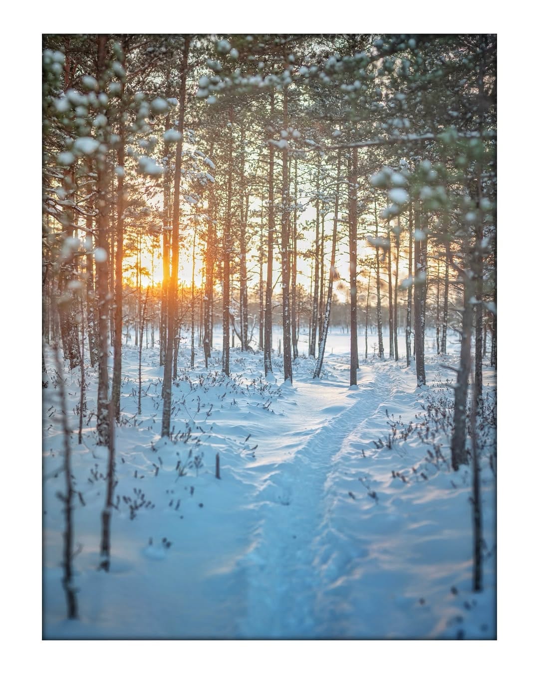 Post 4 by Geit Eero on Instagram (image)