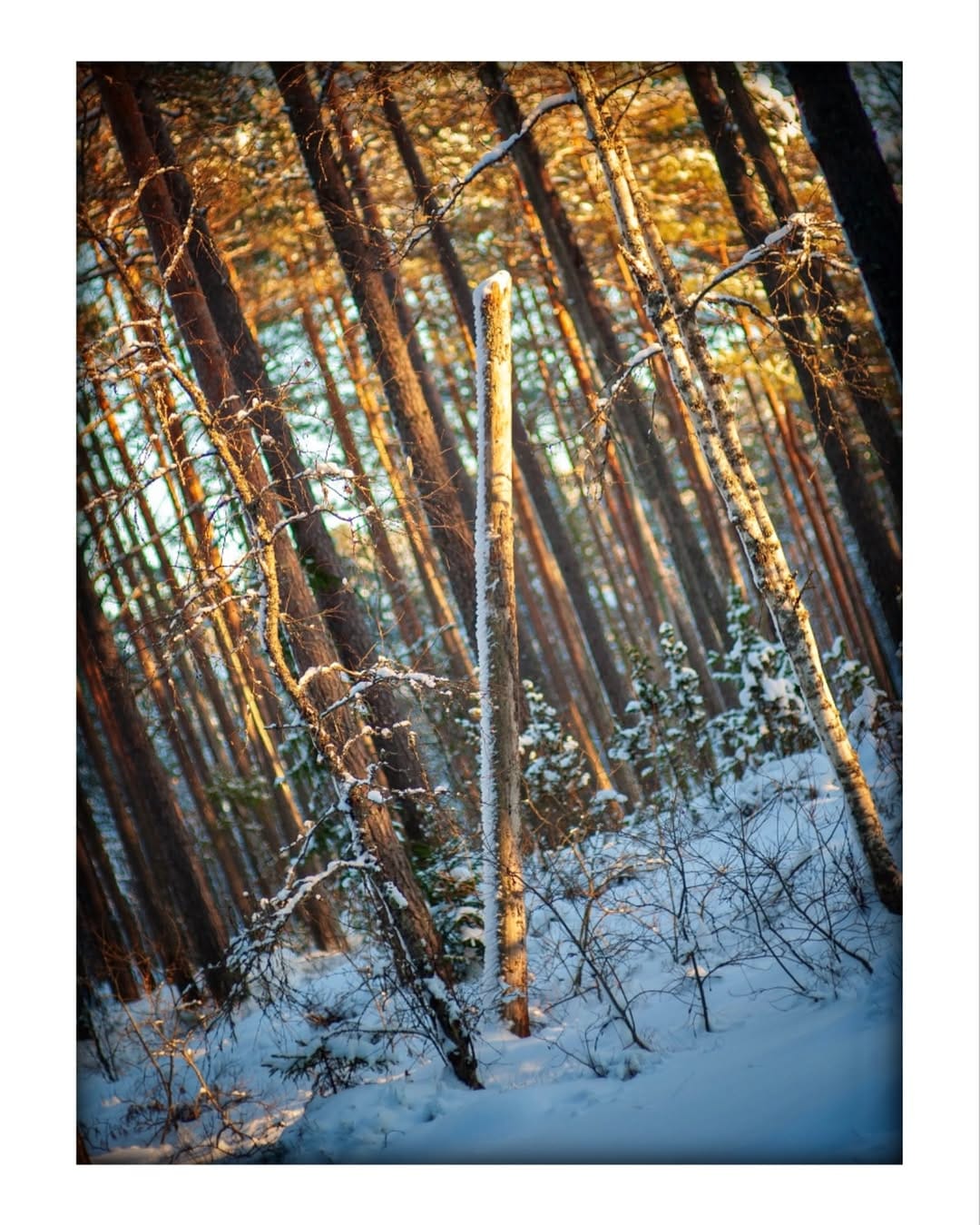 Post 6 by Geit Eero on Instagram (image)