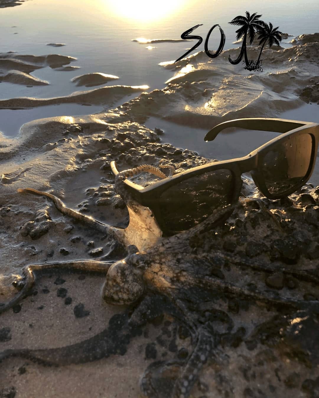 Post 10 by Not just brand..It's lifestyle on Instagram (image)