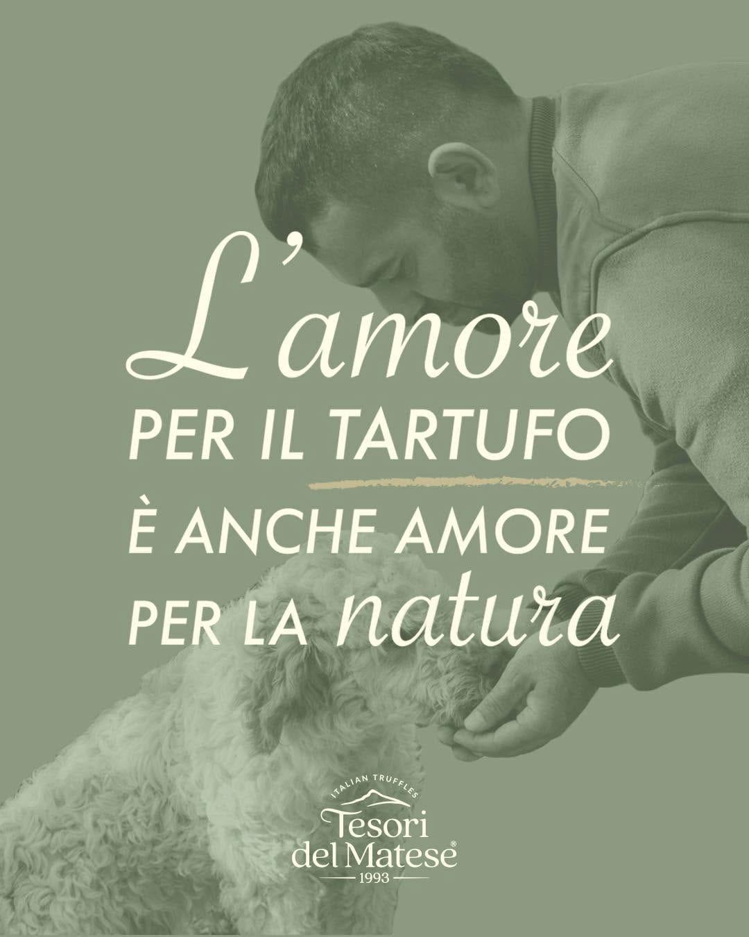 Post 2 by Tesori Del Matese on Instagram (image)