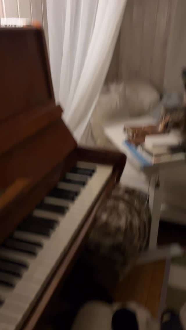Post 4 by Kiki, Sophie, Cali on Instagram (video)