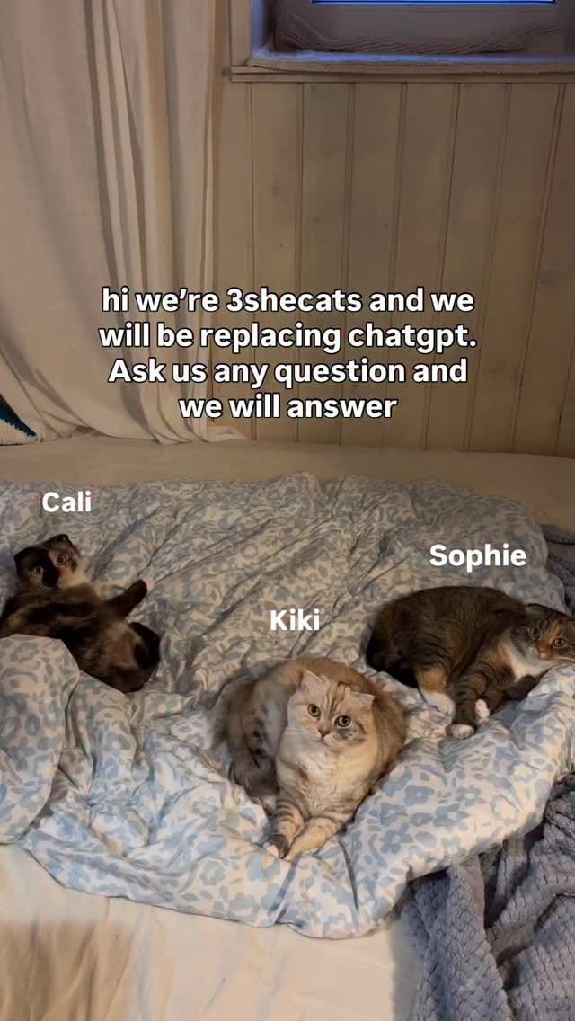 Post 1 by Kiki, Sophie, Cali on Instagram (video)