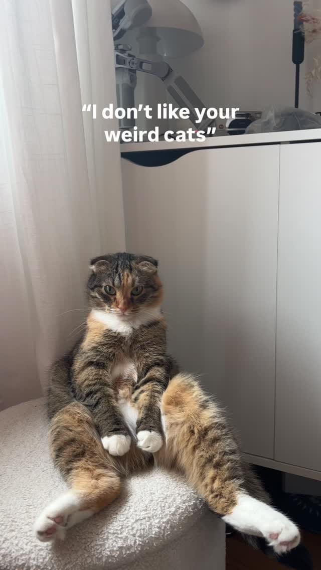 Post 6 by Kiki, Sophie, Cali on Instagram (video)