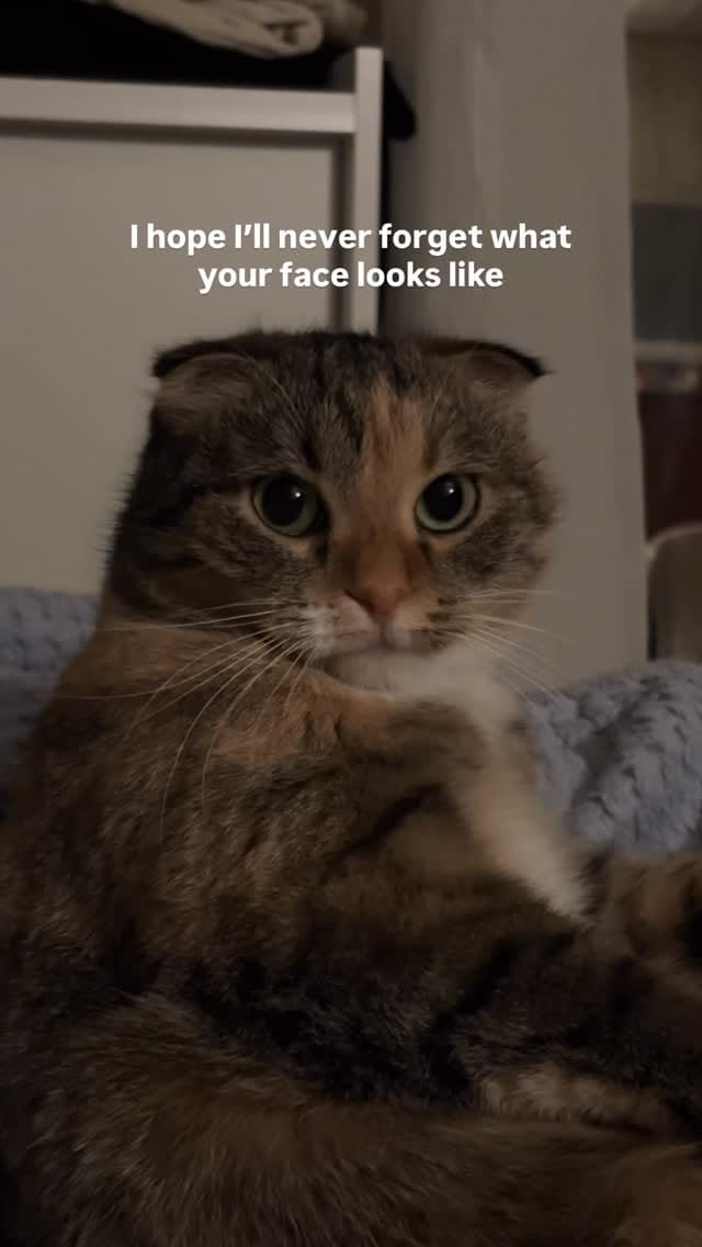 Post 5 by Kiki, Sophie, Cali on Instagram (video)