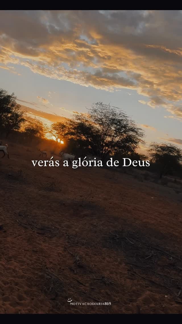 Post 7 by Fazenda caraibeira on Instagram (video)