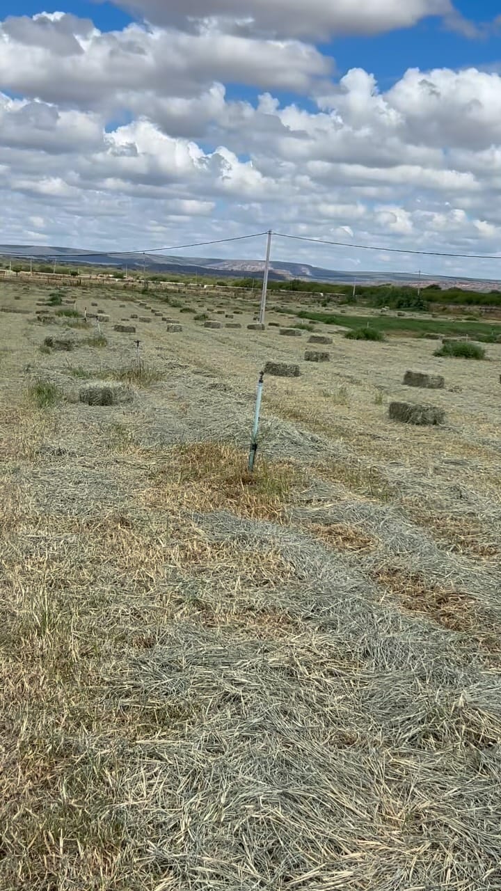 Post 5 by Fazenda caraibeira on Instagram (video)