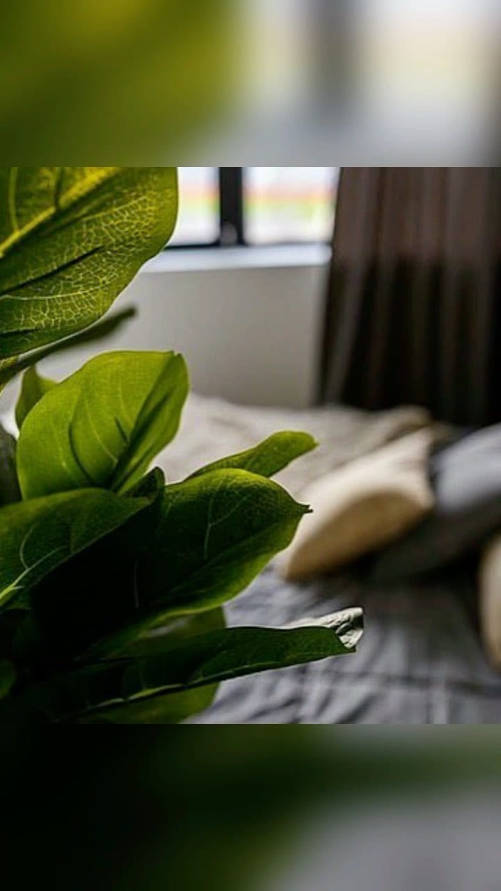 Post 8 by KALEVI PANORAMA RESIDENCE on Instagram (video)