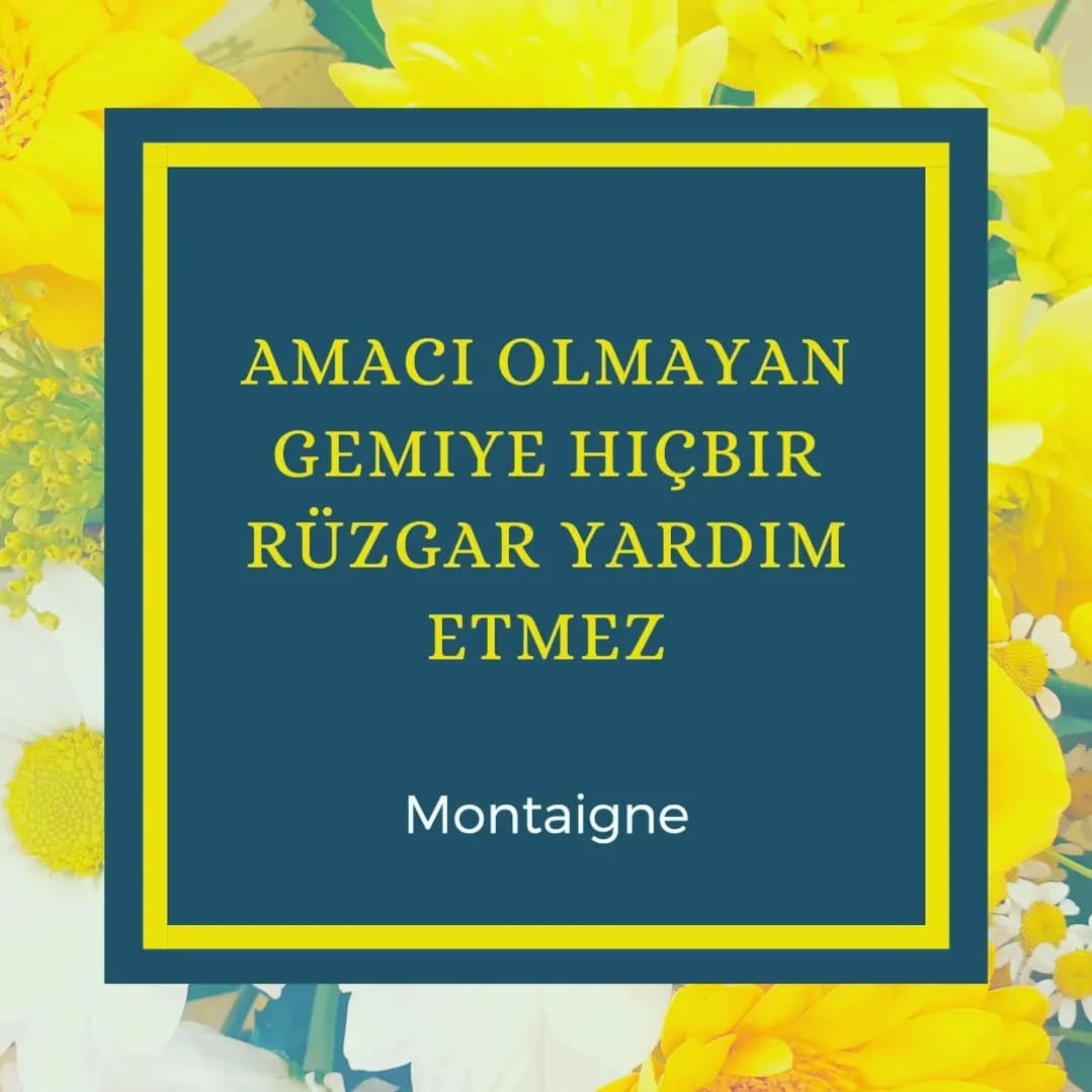 Post 3 by Neslihan Tombul on Instagram (image)