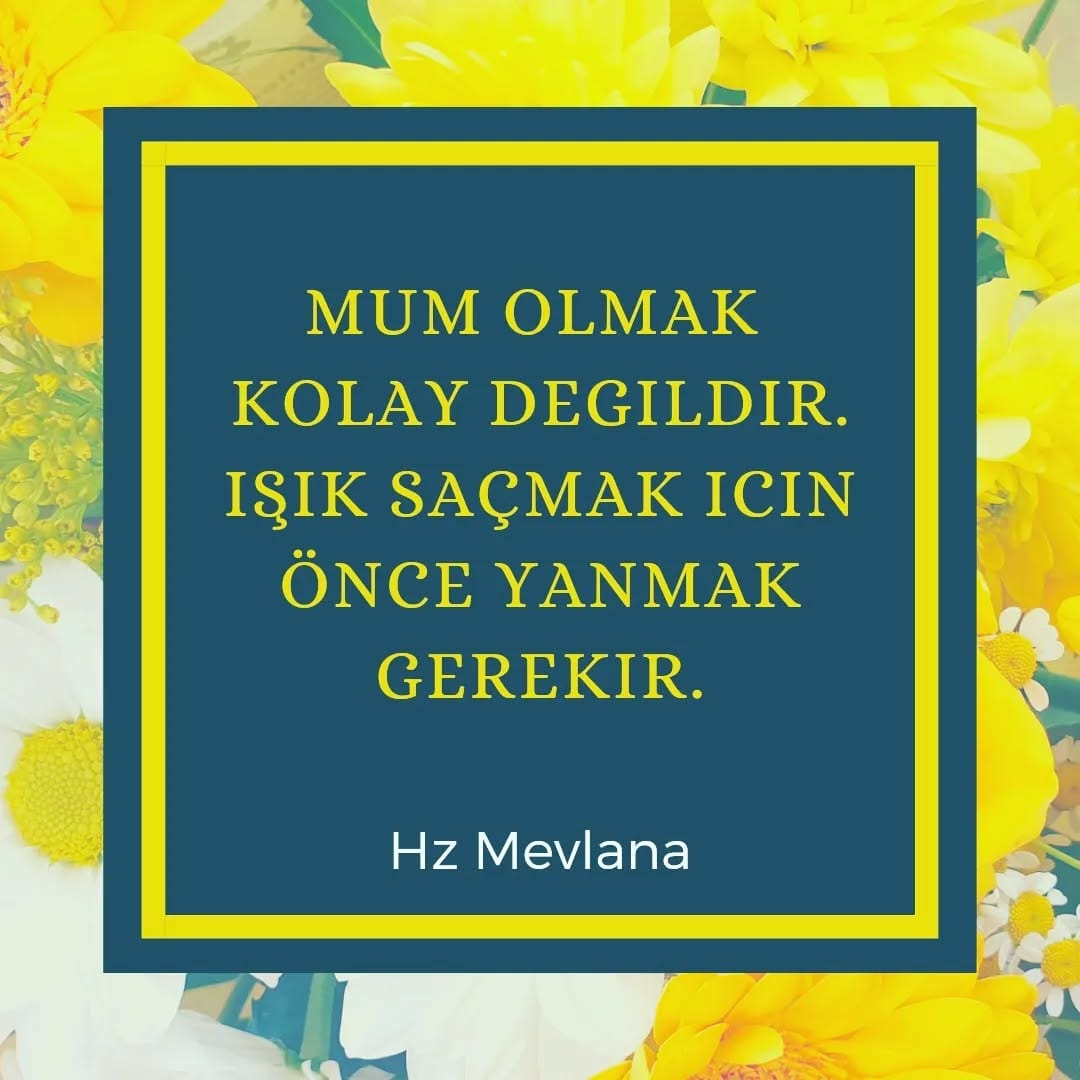 Post 7 by Neslihan Tombul on Instagram (image)