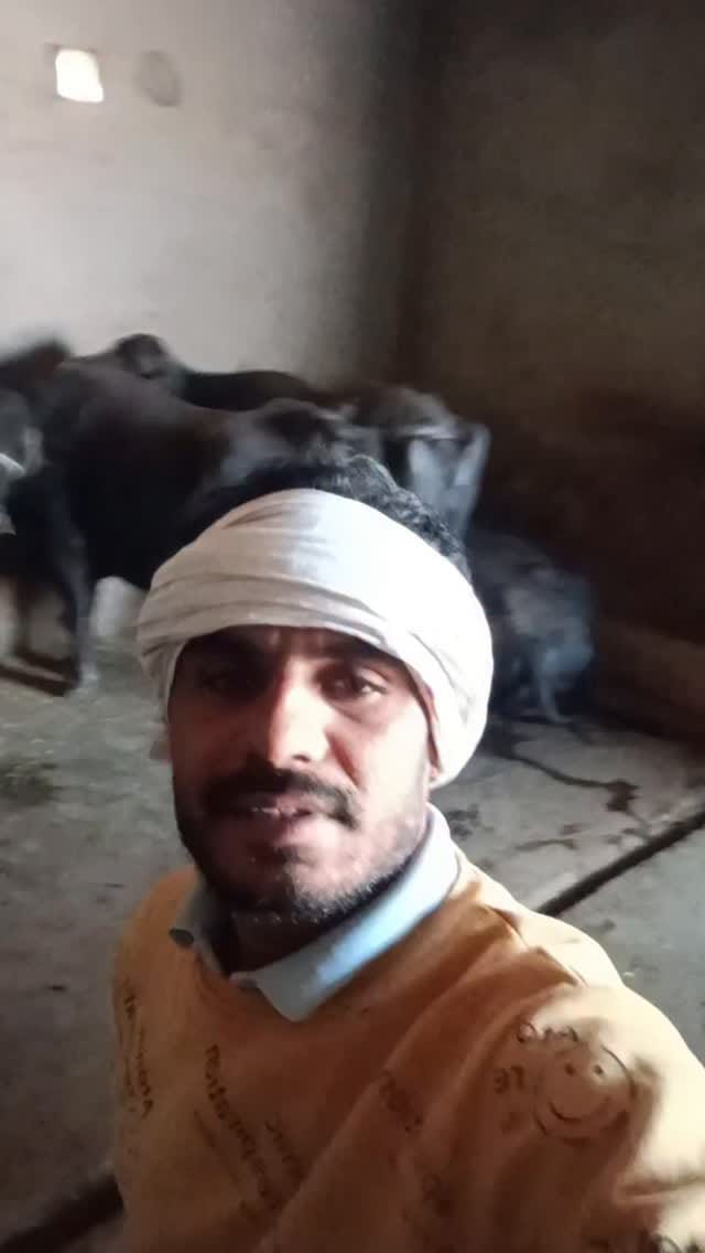 Post 1 by Ravi Khasa on Instagram (video)