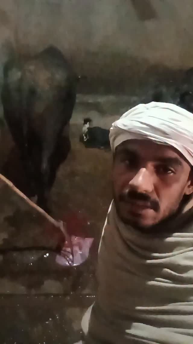 Post 5 by Ravi Khasa on Instagram (video)