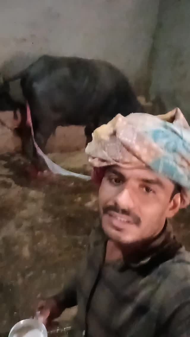 Post 10 by Ravi Khasa on Instagram (video)